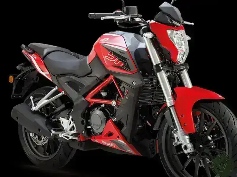 Benelli BN 251 Which is better?