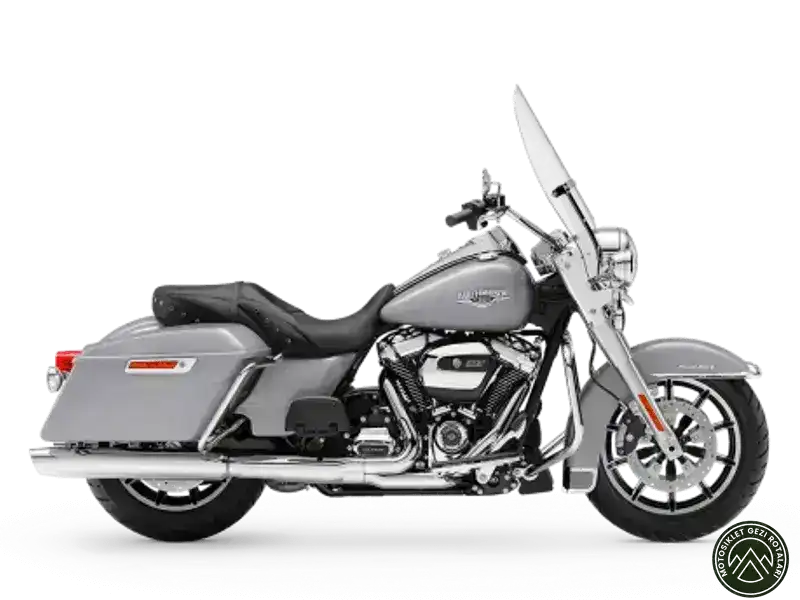Harley Davidson Street Bob mi? Hangisi daha iyi