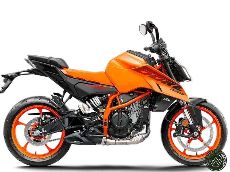 KTM RC 390 ABS Qual è il migliore?